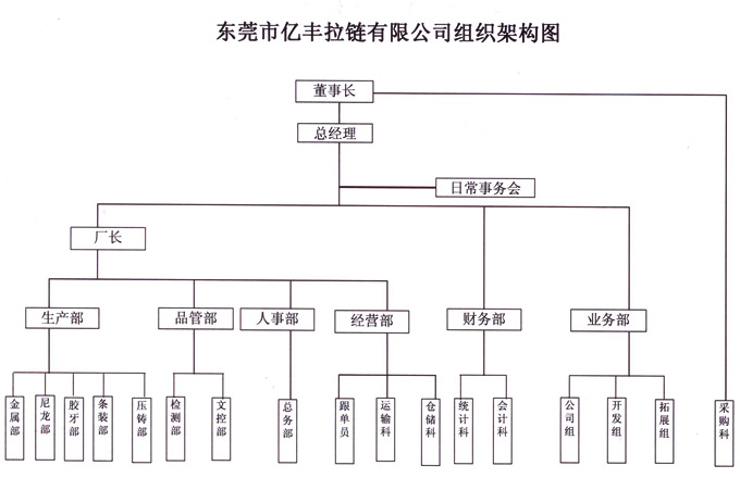 組織架構 - 東莞小黄片在线播放小黄片免费视频有限公司
