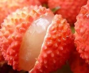 小黄片免费视频荔枝